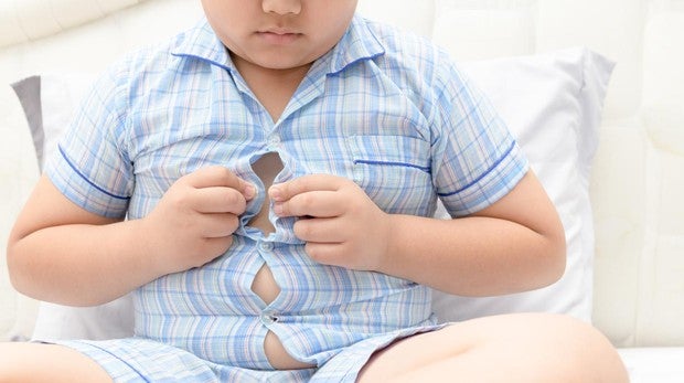 recomendaciones nutricionales para ninos con sobrepeso