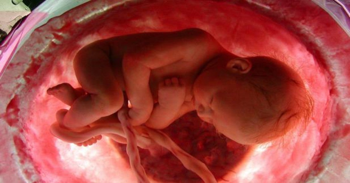 Cajas De Recuerdos Para Superar La Muerte De Un Bebe Antes Del Parto