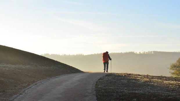 Camino de Santiago a pie: equípate para evitar dolores