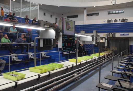 .  Moreno 1, Ribadesella.