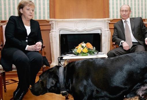 Merkel with Putin, during a press conference in Sochi in 2007 (the German Chancellor had on occasion expressed her apprehension towards dogs)