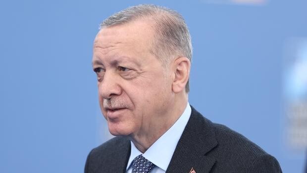 Erdogan impone a la OTAN su agenda de intereses en la cumbre