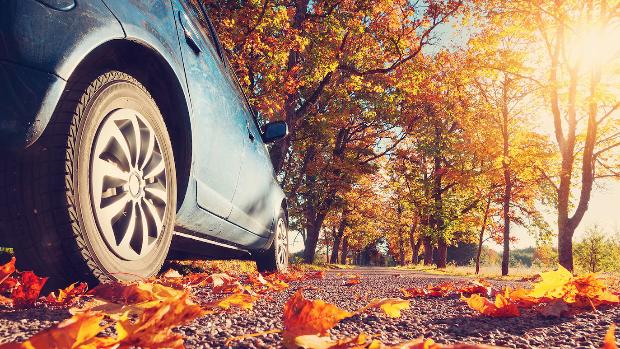 Ocho consejos para conducir seguro en otoño