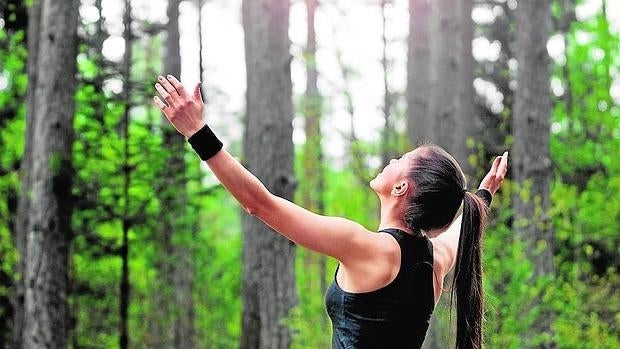 El contacto directo con la naturaleza reduce el estrés