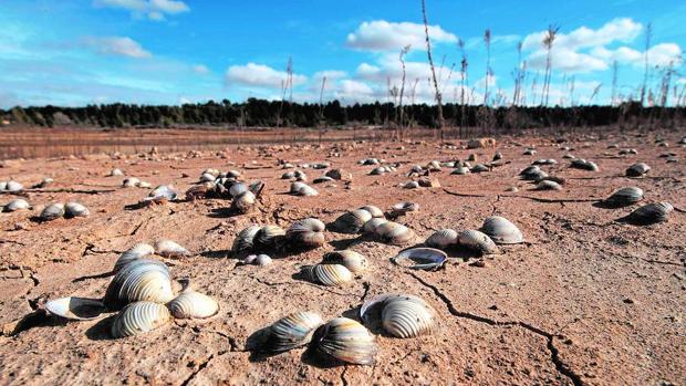 Esto Es Lo Que Les Espera A Los Paises Mediterraneos Si No Gestionan Bien El Cambio Climatico