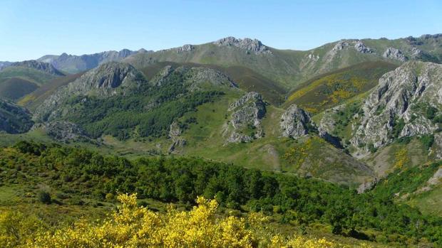 La oportunidad que representa la restauración ecológica para España
