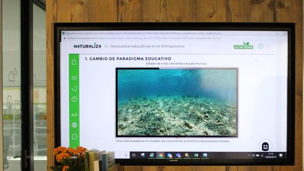 Naturaliza ofrece a los docentes formación on line y recursos educativos en educación ambiental