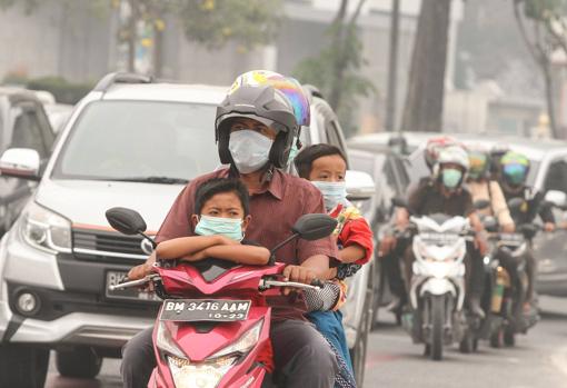 Los incendios que arrasan Indonesia: cinco claves que explican este desastre medioambiental