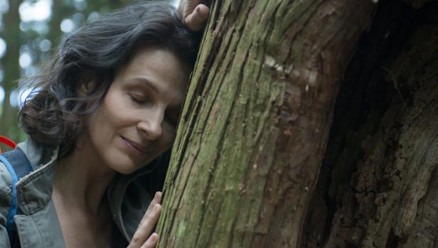 Juliette Binoche en «Viaje a Nara (Vision)»