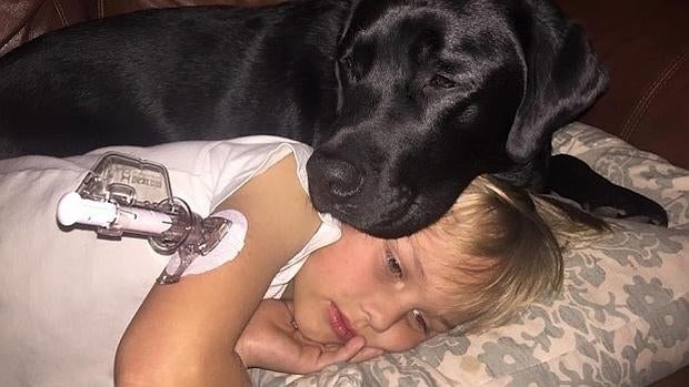 Luke y su perro Jedi