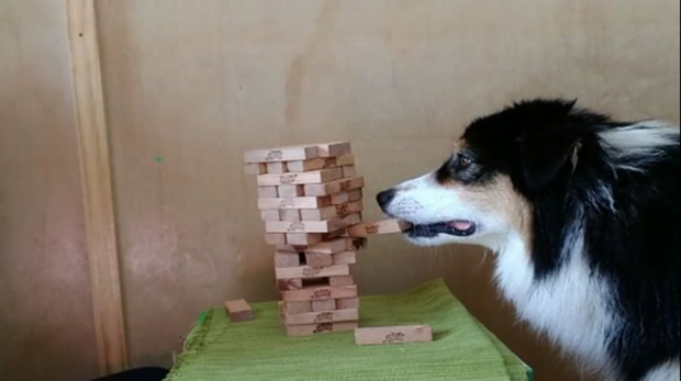 Imagen de Secret jugando