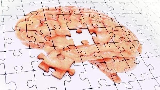 La nueva proteína mejorará el conocimiento del origen del alzhéimer