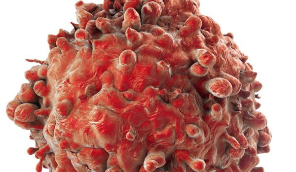 Célula cancerígena