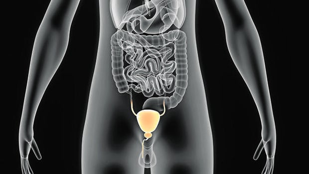 estudios clínicos para la enzima del cáncer de próstata metastásico