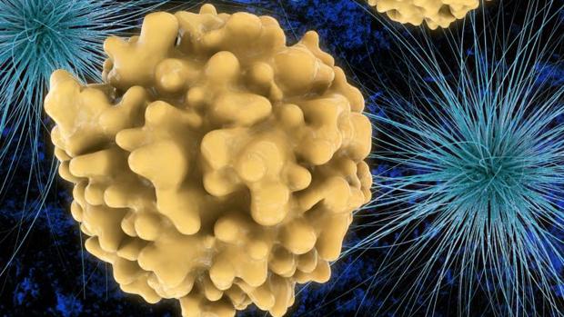 Gonorrea sintomas hombre tratamiento