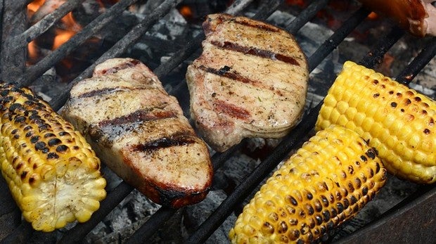 Proteinas animales y vegetales