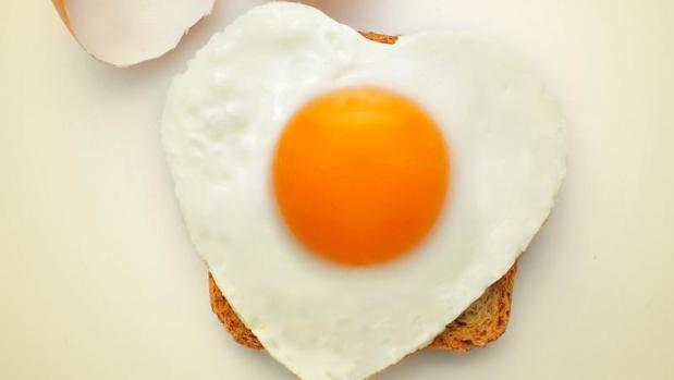 Dieta libre de grasas saturadas