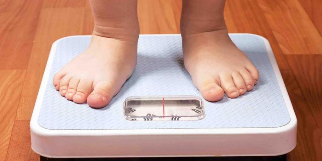 Descubren cómo la grasa marrón protege de la obesidad y la diabetes 2