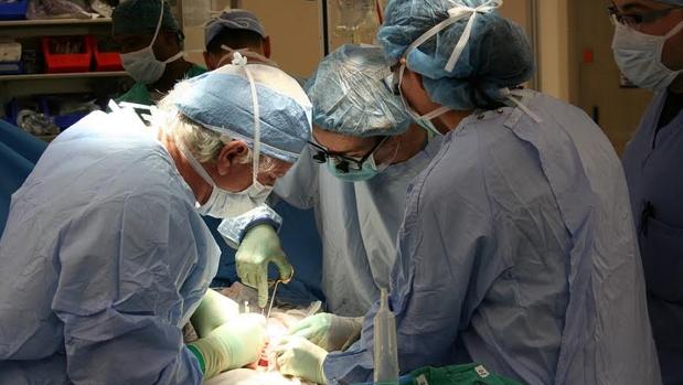 dolor en la ingle después del trasplante de riñón dolor en la ingle después del trasplante de riñón