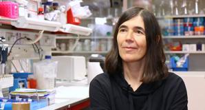 María Blasco: «El problema del cáncer es cuando pasa desapercibido un tumor inicial»»