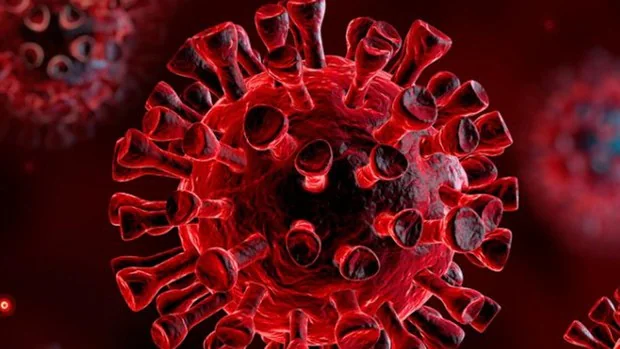 Este anti-cuerpo puede apoyar la eliminación del virus o proteger un individuo no infectado que está expuesto al virus