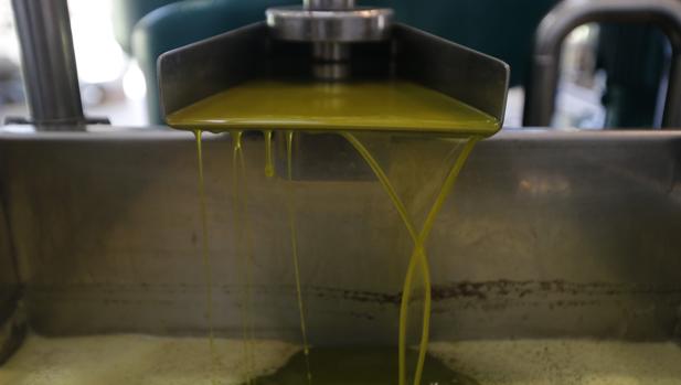 Genil espanol puente aceite oro