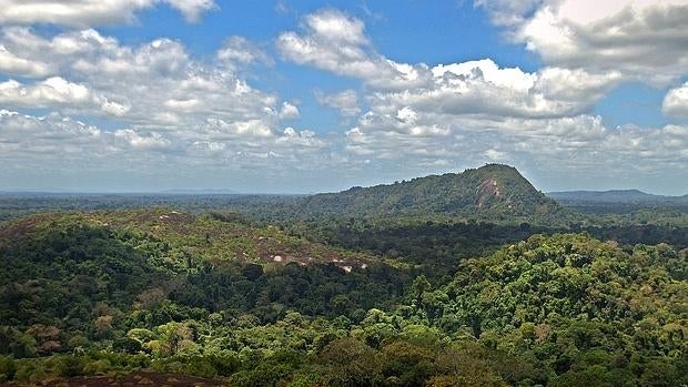 Los investigadores consideran que los bosques amazónicos proporcionan servicios ambientales de importancia global, y que por eso también hay que controlar también la caza