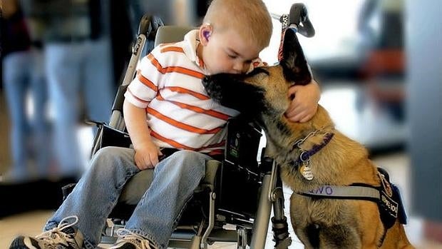 Varios estudios científicos demuestran los beneficios emocionales, psicológicos y físicos que las mascotas aportan a las personas