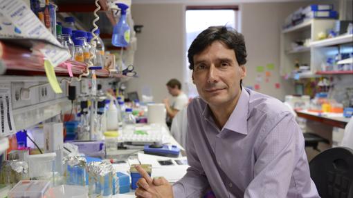 Serrano investiga en el Instituto de Investigación Biomédica de Barcelona