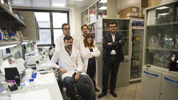 Grupo de científicos españoles que han realizado este estudio pionero