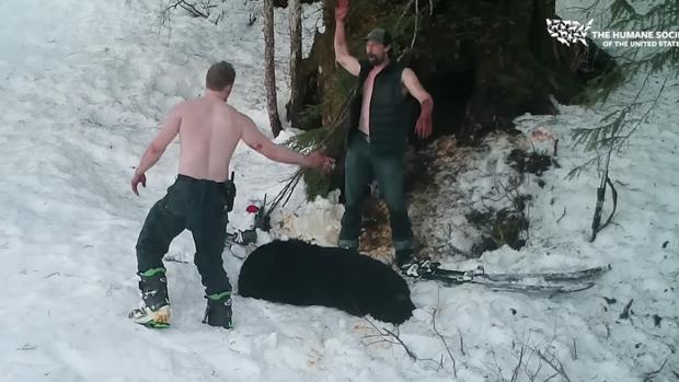 Dos hombres celebran la caza de una familia de osos en Alaska