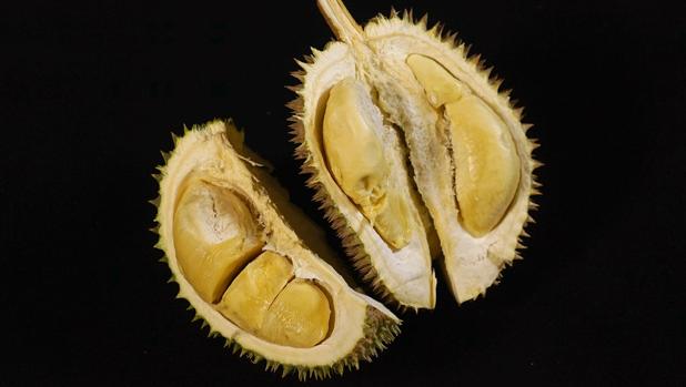 Unduh 80+ Gambar Es Abcd Durian Paling Bagus HD