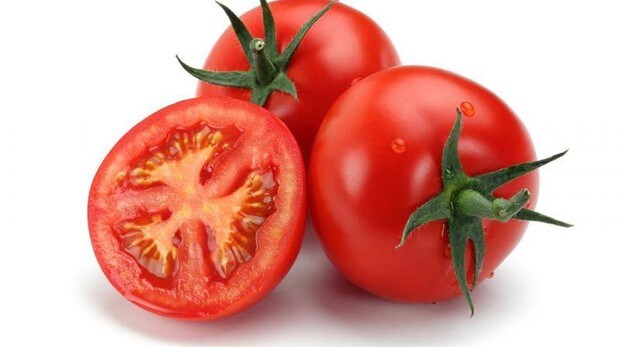 Resultado de imagen para tomate