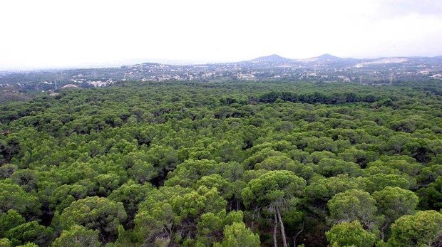 Combatir el cambio climático es el principal objetivo de esta ley