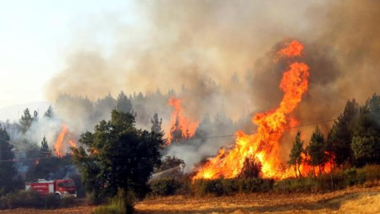 incendio-portugal-k5aH--1240x698@abc.jpg