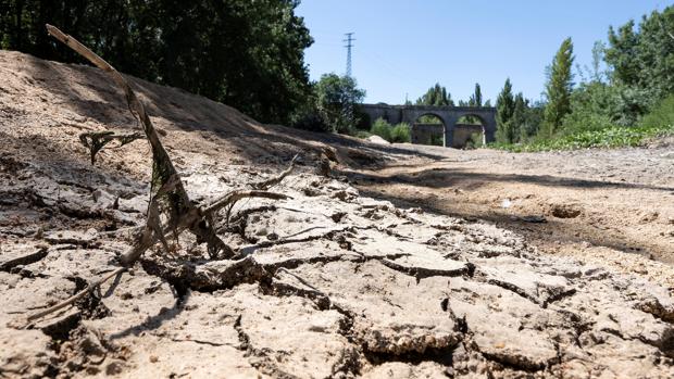 Cauce del río Adaja a su paso por Ávila en julio
