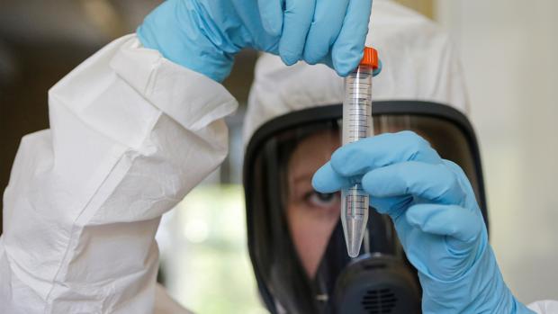 La segunda vacuna rusa contra el coronavirus se encuentra en la ...