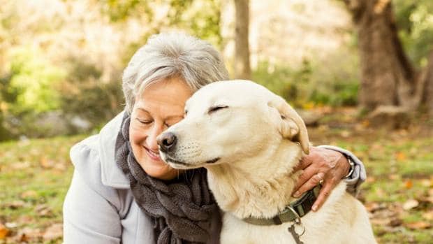 El 32 % de las personas mayores convive con una mascota en España