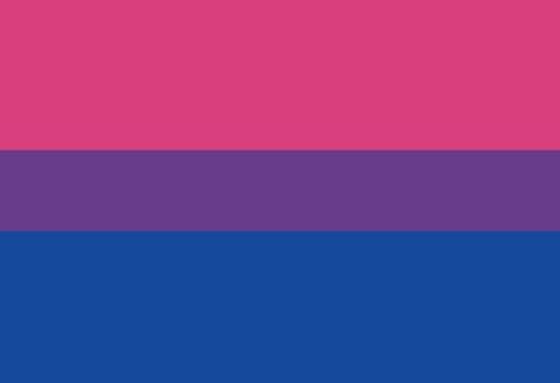 Bandera Bisexual