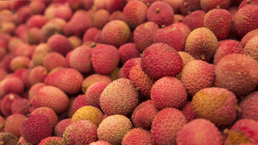 Litchis