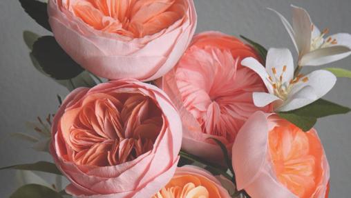 Ramo de la extraña flor