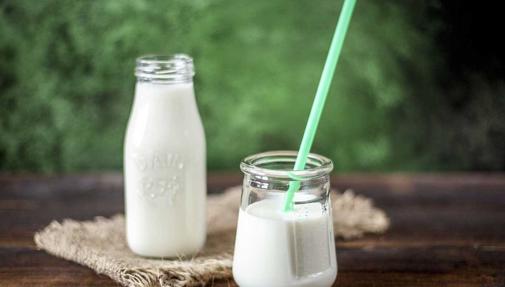 De cabra, búfala, yak o camella. La leche de vaca es solo una de las muchas opciones