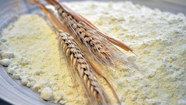 Harina y espigas de Tritordeum