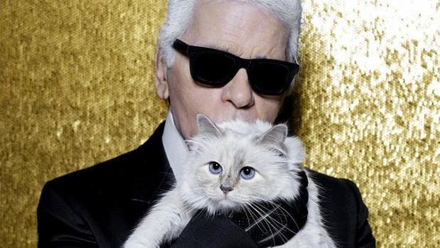 La Fortuna Que Podria Heredar Choupette La Millonaria Gata De Karl Lagerfeld