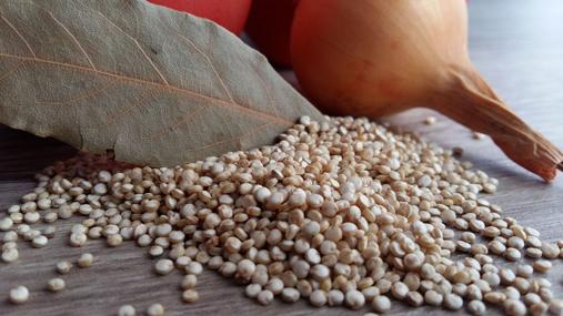 La saponina es un compuesto defensivo amargo de la quinoa