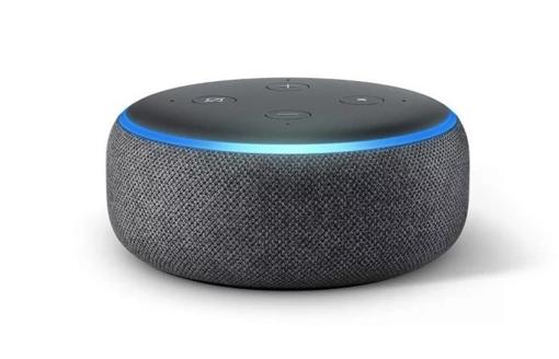 Detalle de Echo Dot