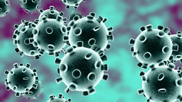 Coronavirus, las elecciones estadounidenses y cómo crear pan casero: lo más buscado en Google en 2020
