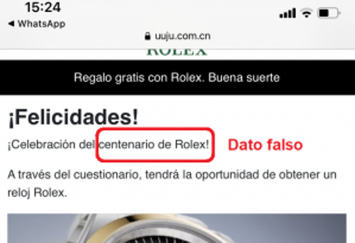 Imagen de la página falsa