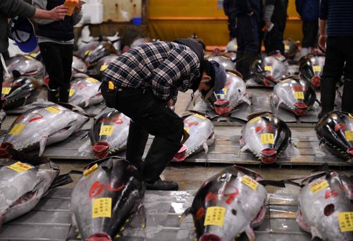 Mercado de Tsukiji