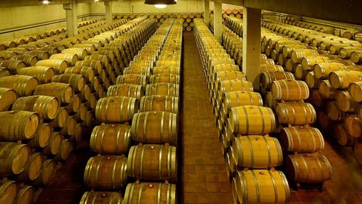 Sala de barricas de Celler de Capçanes